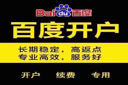 百度竞价与搜索引擎优化（SEO）结合的经典案例